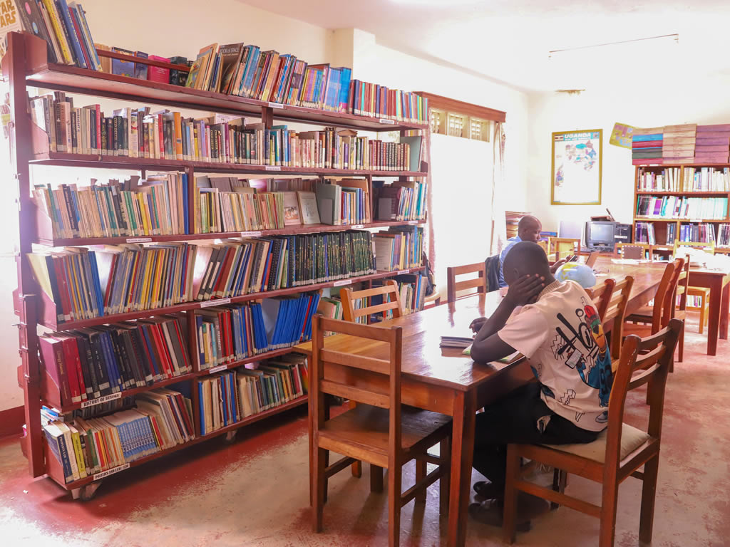 Library And Museum Services